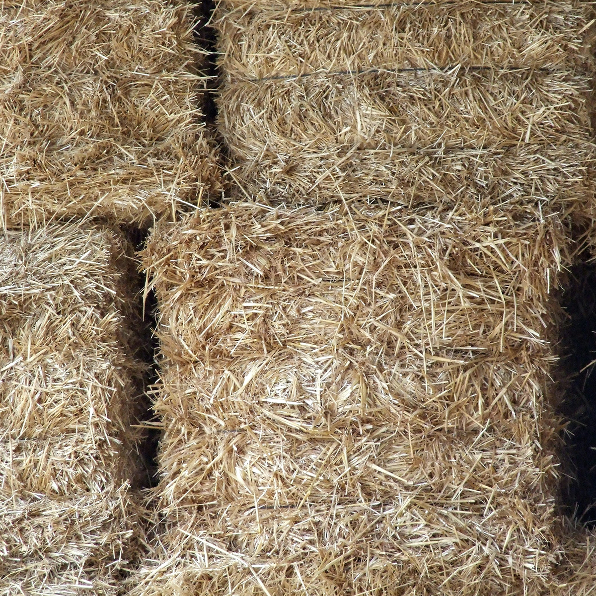 Straw Bale